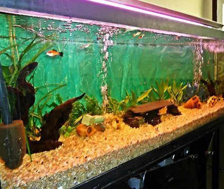 Altiana Оренсе