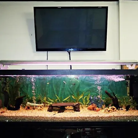 Altiana Отель Оренсе