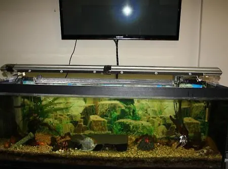 ホテル Altiana 2*