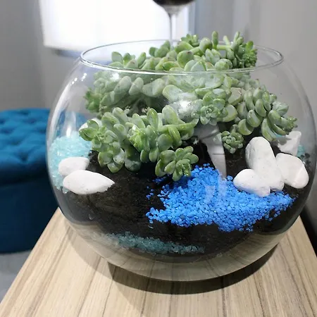 Altiana 2* Оренсе