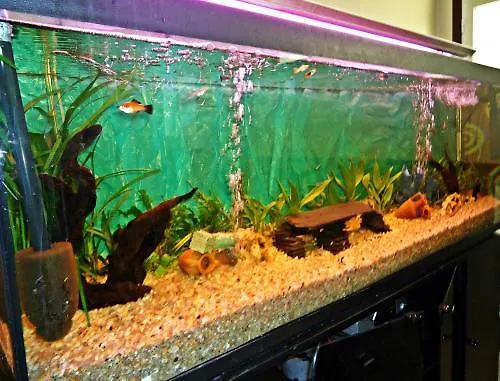 Altiana Ουρένσε