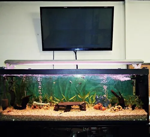 Altiana Ξενοδοχείο Ουρένσε