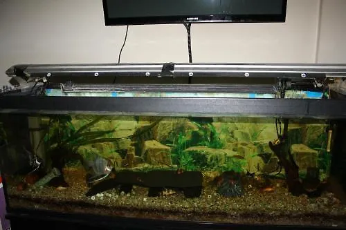 Altiana Ουρένσε